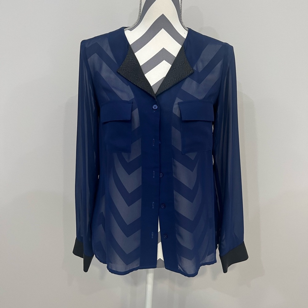 Express Blue Sheer Long Sleeve Blouse